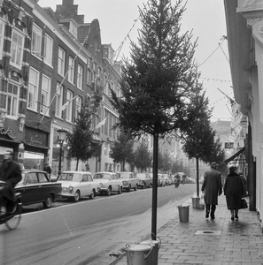 126240 Afbeelding van kerstbomen op het Oudkerkhof te Utrecht.